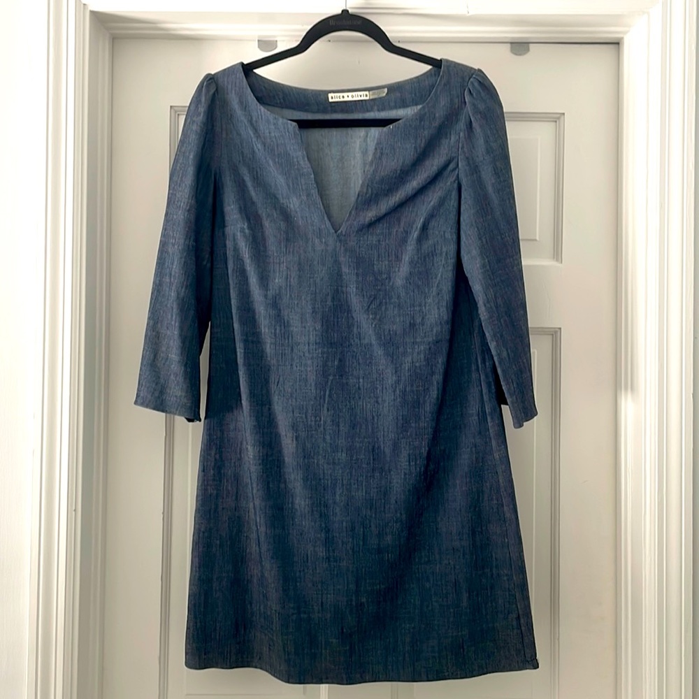 Alice and Olivia denim shift dress.